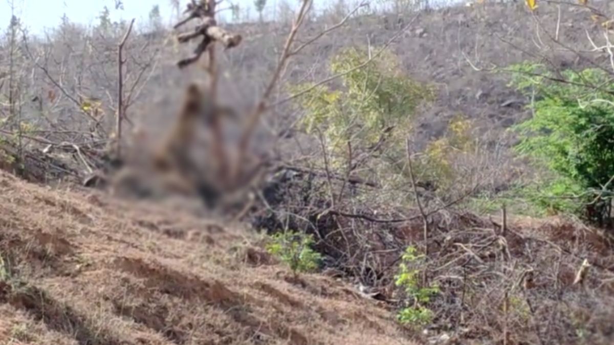 अपनी हरकतों से बाज नहीं आ रहे शिकारी: जंगली जानवरों के शिकार के लिए लगाए फंदे में फंसा तेंदुआ, हुई मौत