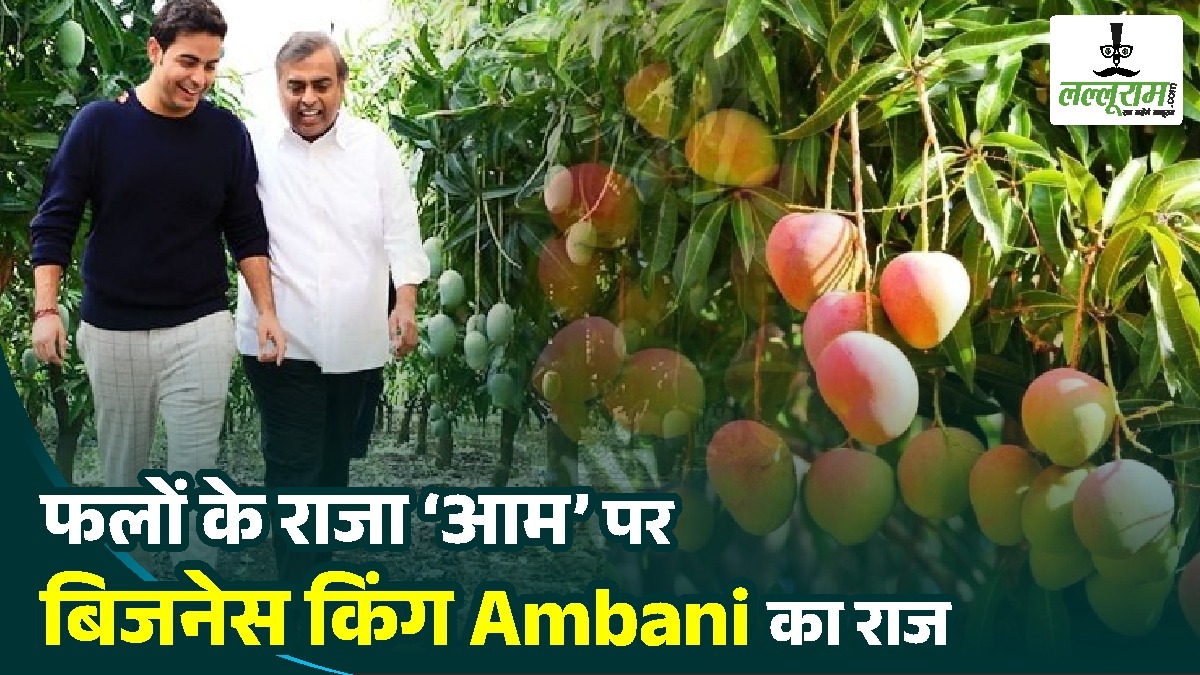 Ambani Mango Farm : फलों के राजा आम पर बिजनेस किंग Ambani का राज,  अमेरिका भी है इनका दीवाना