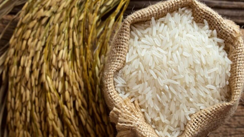 ईरान-इस्राइल में टेंशन से चावल सस्ते हुए बासमती राईस
