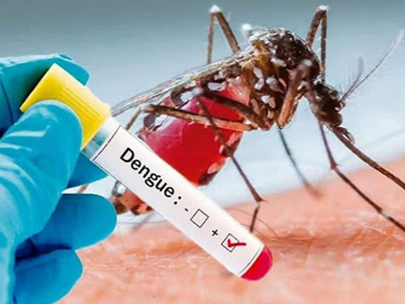 लुधियाना में डेंगू बुखार दस्तक दे चुका है, स्वास्थ्य विभाग का अलर्ट