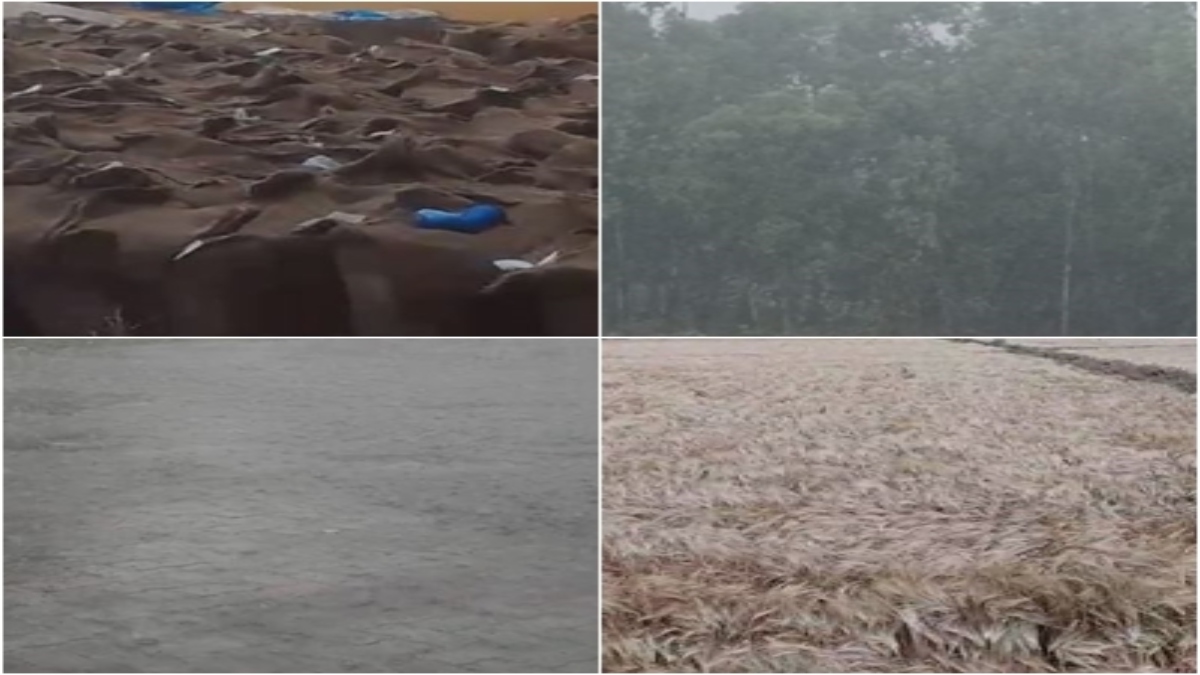 MP में गरज-चमक के साथ तेज बारिश: फसलों को पहुंचा नुकसान, किसान परेशान 