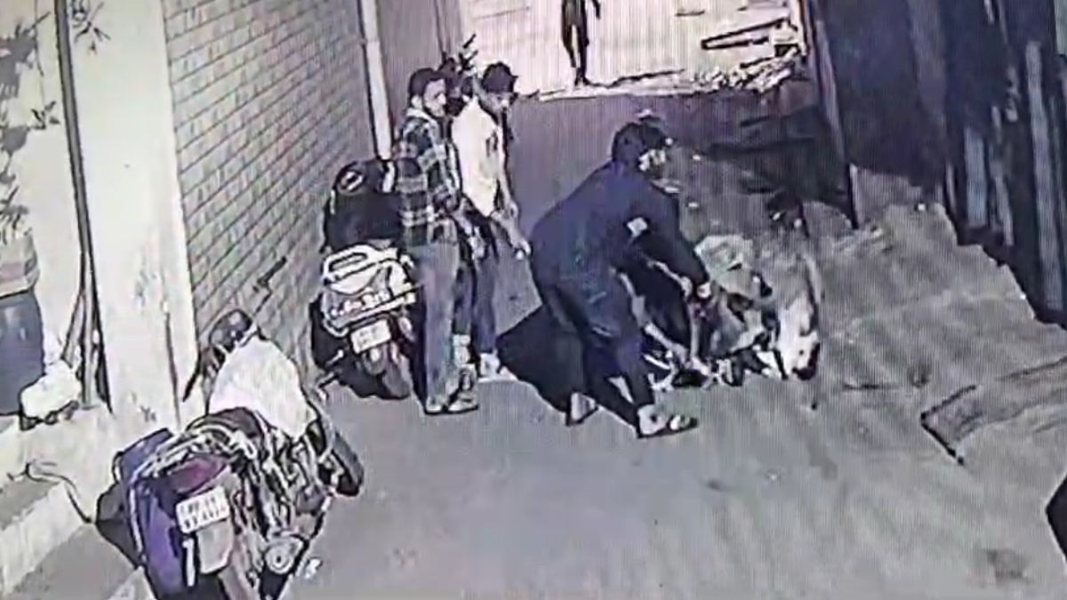 राजधानी में मवेशी चोर फिर सक्रिय: आधा दर्जन युवकों ने की गाय की चोरी, वारदात CCTV में कैद, जांच में जुटी पुलिस