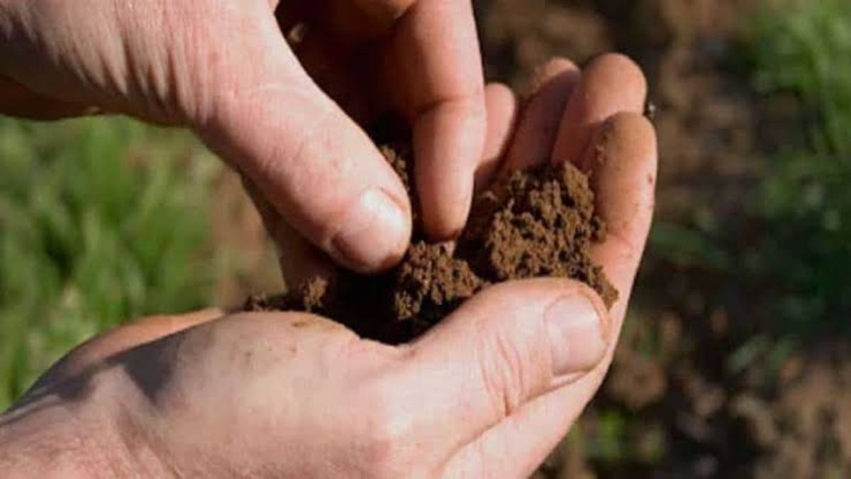 अच्छी फसल लेने के लिए मिट्टी का परीक्षण जरूरी, किसान इस तरह ले सैंपल…