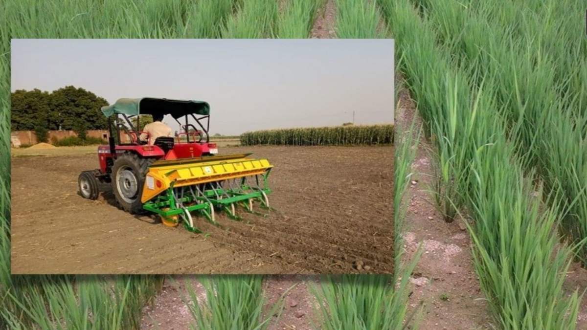 बिना रोपाई के किसानों को मिलेगी अच्छी फसल, अपनाए ये तकनीकी…