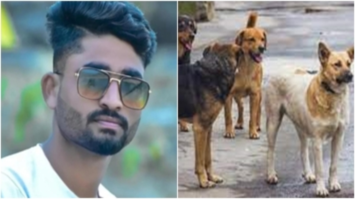 आवारा कुत्तों का आतंक: युवक को नोंच-नोंचकर काटा, अस्पताल में इलाज के दौरान मौत 