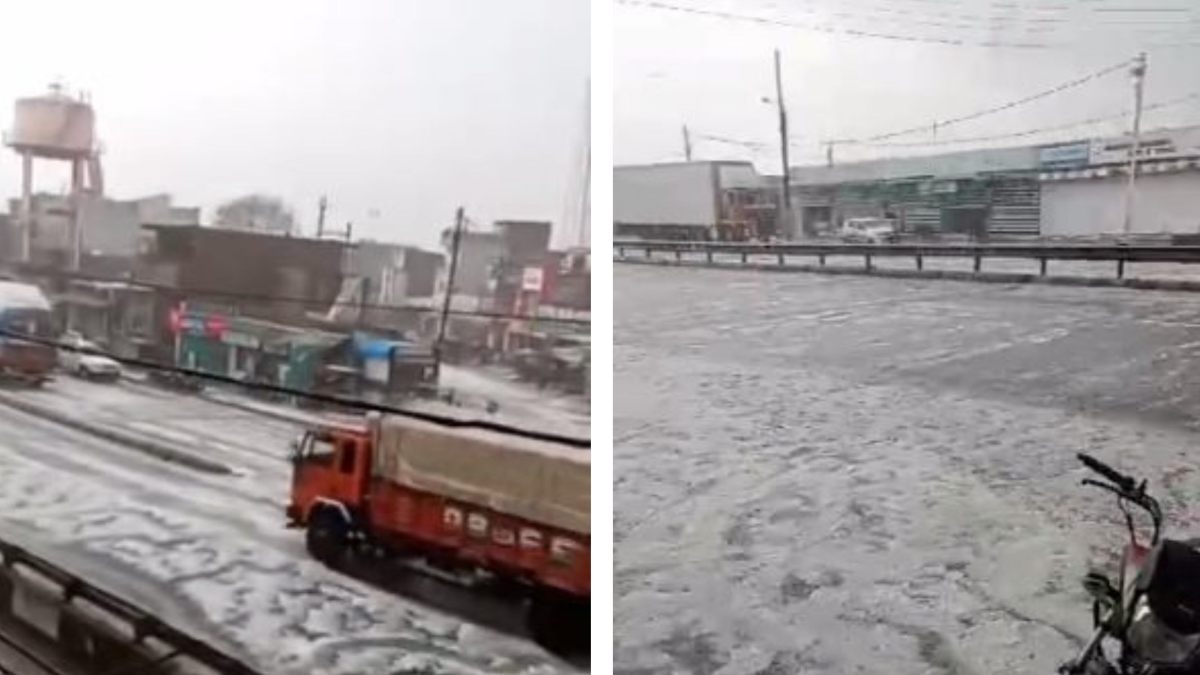 ये कश्मीर नहीं MP का धार है: ओलावृष्टि से सड़कों पर बिछी सफेद चादर, लोगों ने जमकर की मस्ती, देखें Video