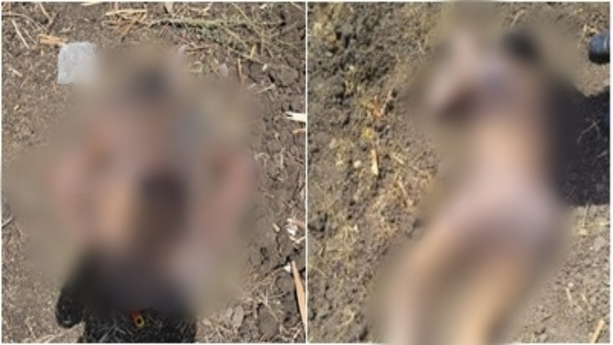 डबल मर्डर से फैली सनसनी: खेत में नग्न अवस्था में मिली दो लाश, शरीर पर चोट के निशान, जांच में जुटी पुलिस   