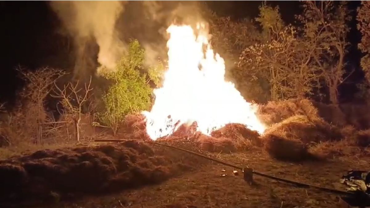 पड़ोसियों की गुंडागर्दी: खलिहान में रखी फसल में पड़ोसी ने लगाई आग, 13 लाख की फसल जलकर राख