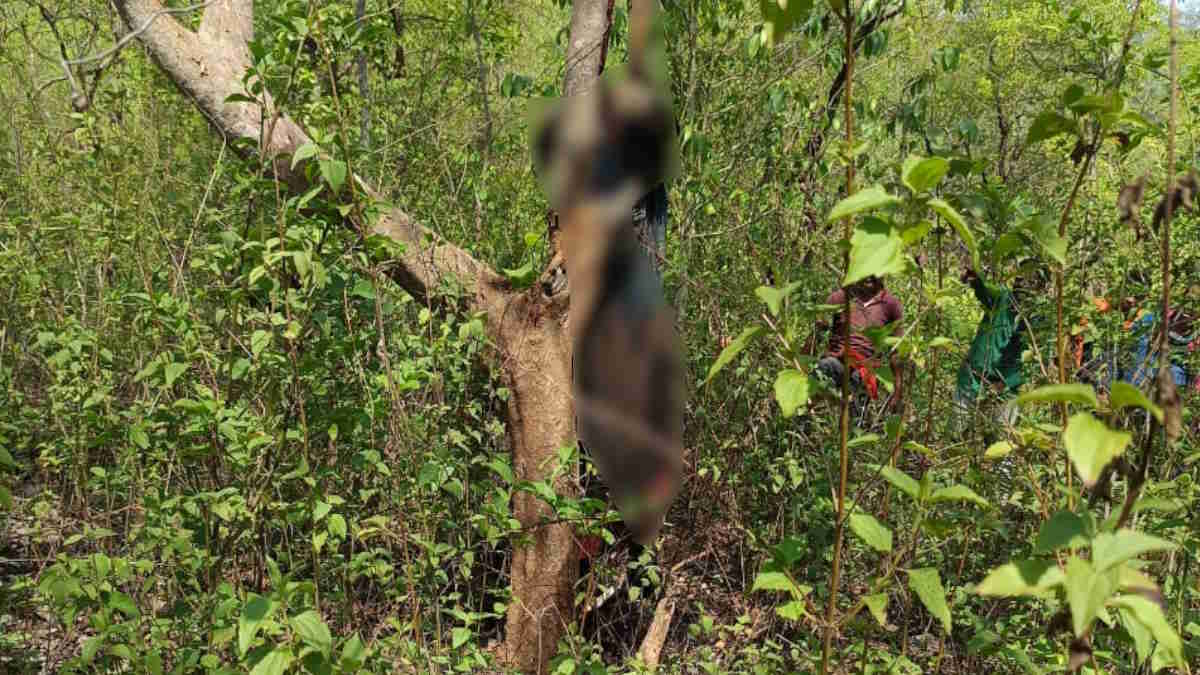 20 दिनों से लापता प्रेमी जोड़े ने की आत्महत्या, 2 राज्यों के बीच सीमा विवाद के चलते 3 दिनों से पेड़ पर लटक रही लाश, परिजन हो रहे परेशान