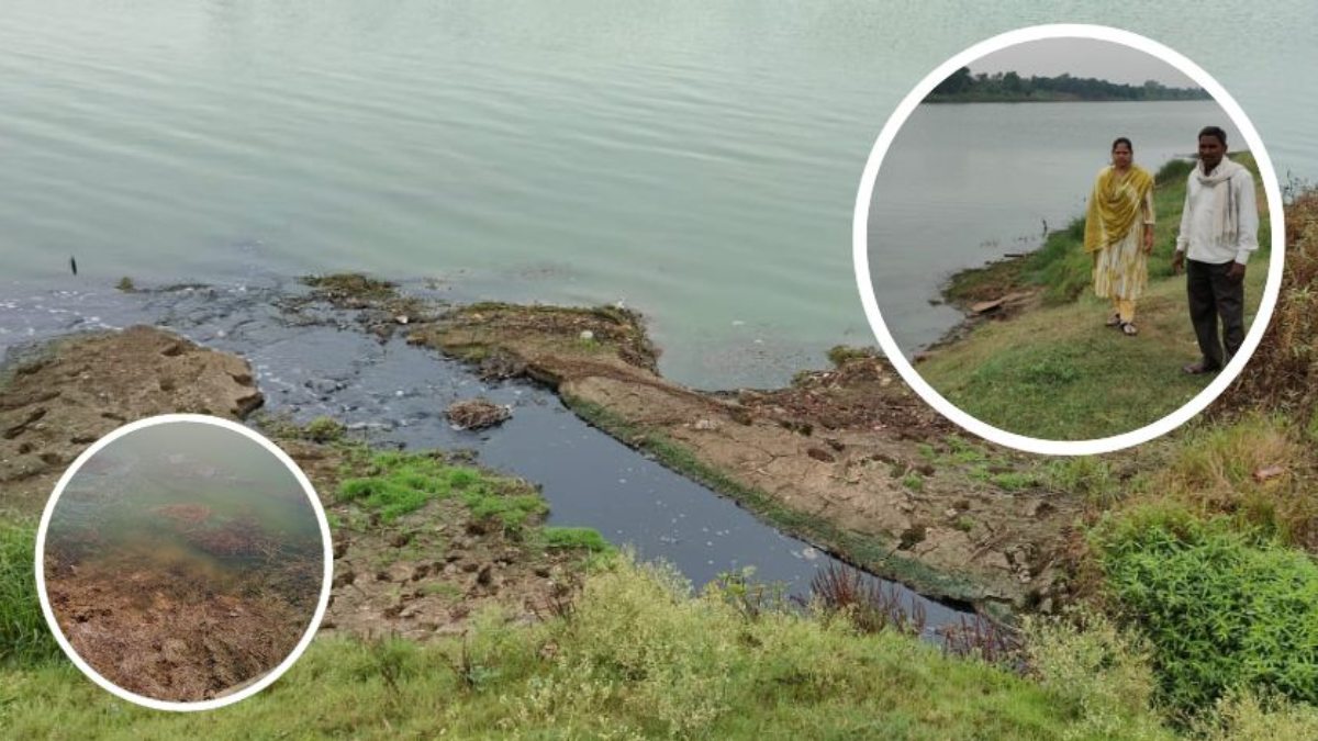 नदी में मिल रहा शराब फैक्ट्री से निकला केमिकल युक्त पानी, पशुओं, जलीय जंतु और फसलों को हो रहा नुकसान, प्रबंधक को SDM ने जारी किया नोटिस