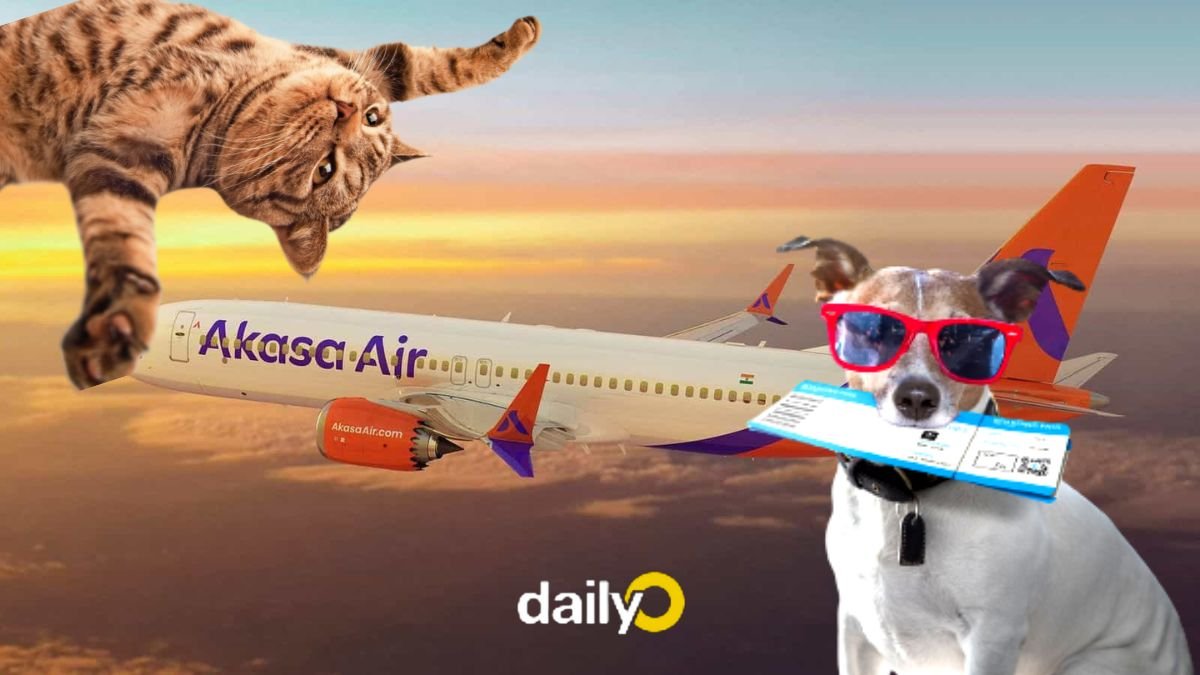 Akasa Air ने Pet Travel Policy में किया बदलाव, 10KG तक के पालतू जानवर साथ ले जाने की मिली अनुमति…