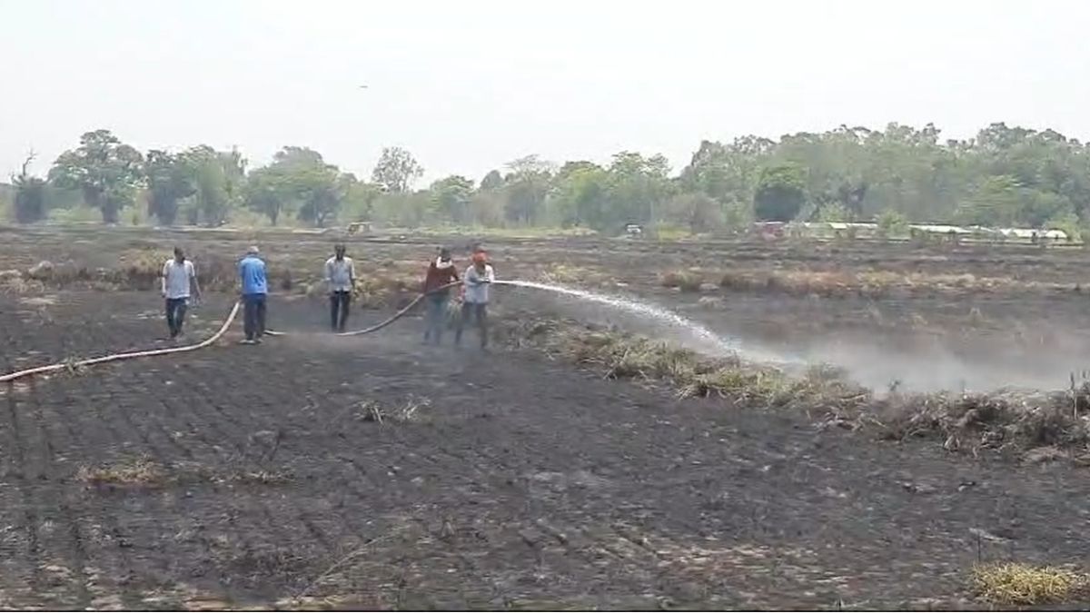 कृषि विश्वविद्यालय परिसर में लगी आगः 20 एकड़ खेत की नरवई जलकर राख, फायर ब्रिगेड की मदद से पाया काबू