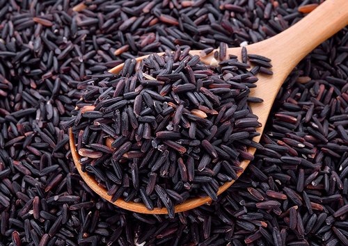 भारत में Black Rice की मांग बढ़ी, ₹500 किलो तक बिकता है यह चावल…