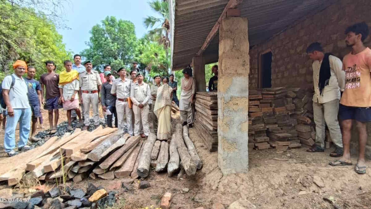 बीजापुर वन विभाग ने की बड़ी कार्रवाई, जमीन के अंदर से जब्त किया दो लाख का अवैध सागौन…