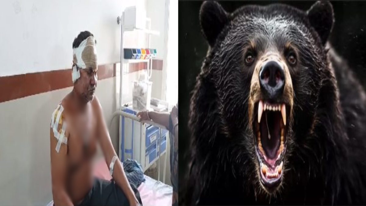 चरवाहे पर भालू ने किया हमला: सिर, कंधे, हाथ और गर्दन पर 50 से अधिक लगे टांके, लोगों में दशहत