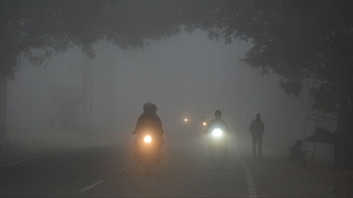 बिहार के 12 जिलों में घने कोहरे का यलो अलर्ट, विजिबिलिटी 50 मीटर तक घटी, दिन में भी ठंडी हवाओं का असर