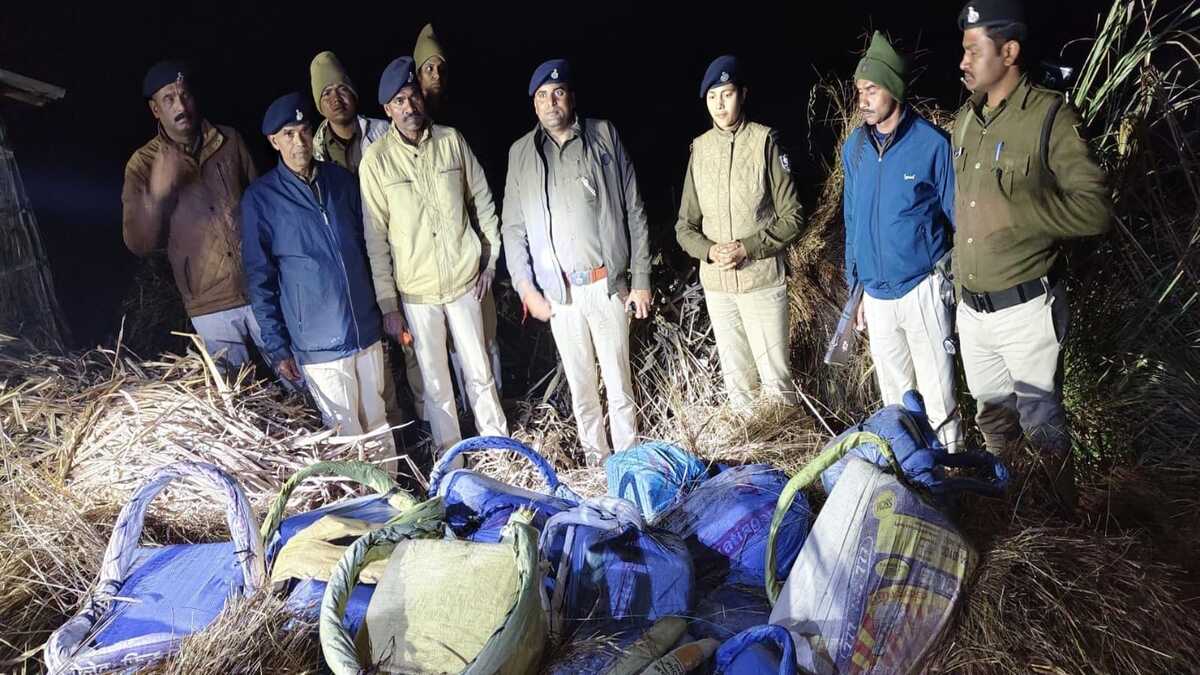 बगहा में 203 किलो गांजा बरामद, पुआल के ढेर में छिपा था लाखों का मादक पदार्थ, तस्करों की तलाश जारी
