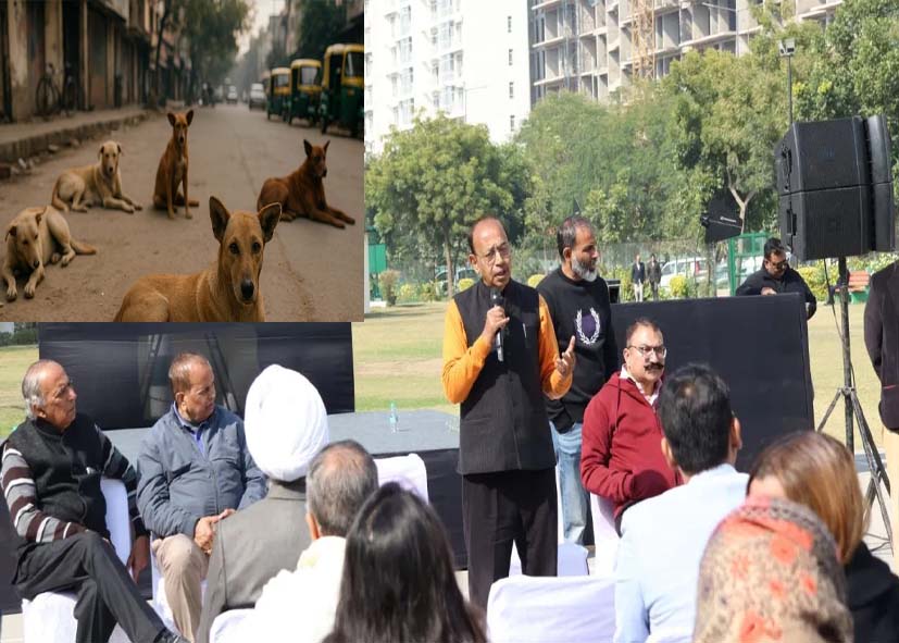 पूर्व केंद्रीय मंत्री विजय गोयल की सोसाइटीज़ से अपील: किसी को आवारा कुत्ता काटे तो डॉग फीडर्स को देना होगा मुआवजा
