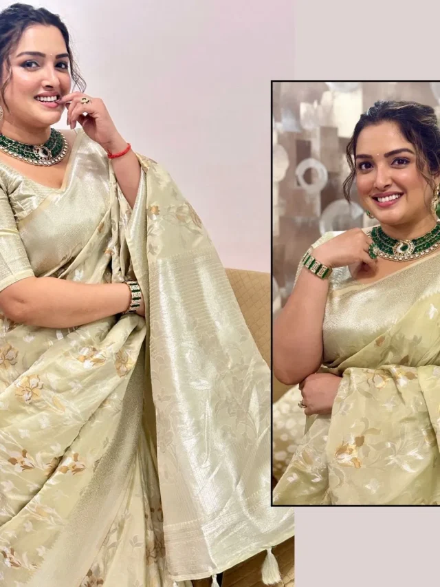 फेस्टिव सीजन हो या पार्टी…बर्थडे गर्ल आम्रपाली दुबे के ये लुक्स हैं कमाल