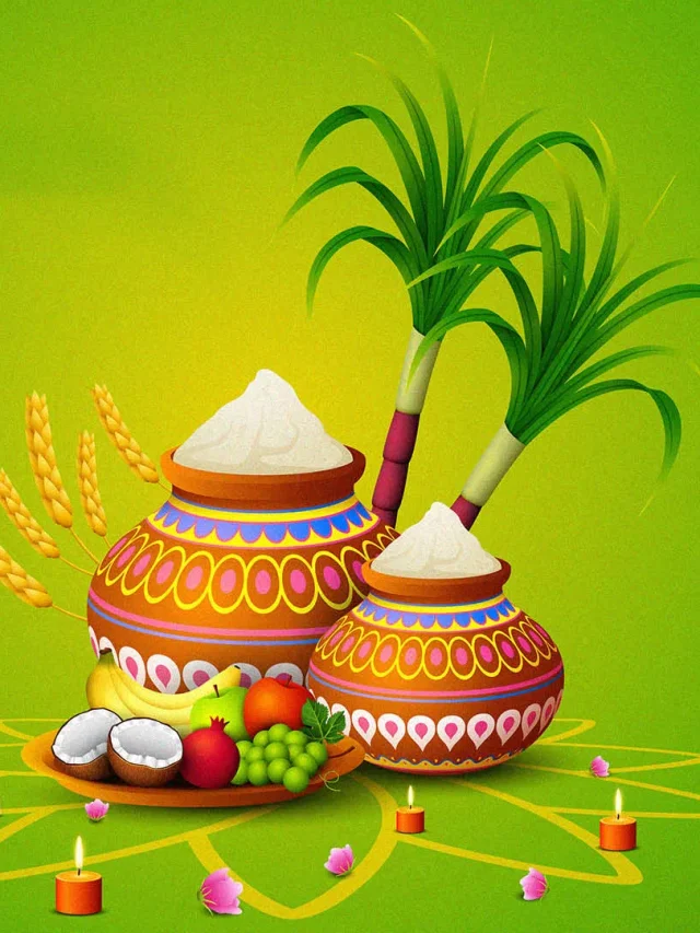 Pongal 2026: पोंगल और मकर संक्रांति में क्या है फर्क? जानिए महत्व
