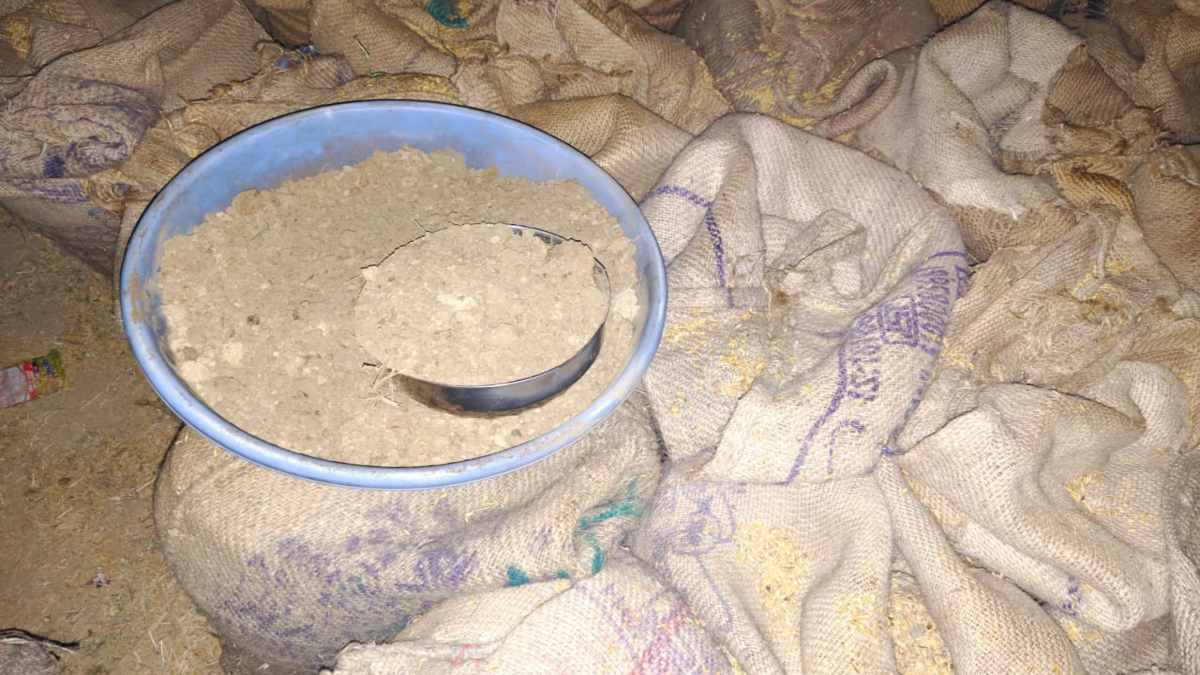 धान खरीदी केंद्र में बड़ा घोटाला : 99 लाख से अधिक का धान गायब, बोरियों में मिलाया जा रहा था मिट्टी-कंकड़, आधी रात टीम ने पकड़ी गड़बड़ी