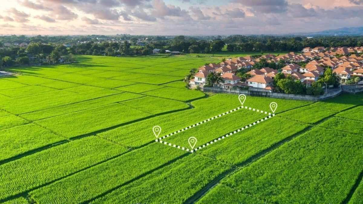 CG NEWS: डायवर्सन के लिए नए App का ट्रायल जारी, जल्द कर सकेंगे घर बैठे आवेदन, 15 दिन में काम नहीं हुआ तो  ‘सिस्टम’ खुद कर देगा Approve