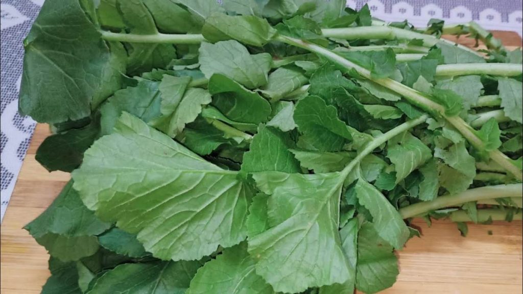 Radish Leaves Health Benefits