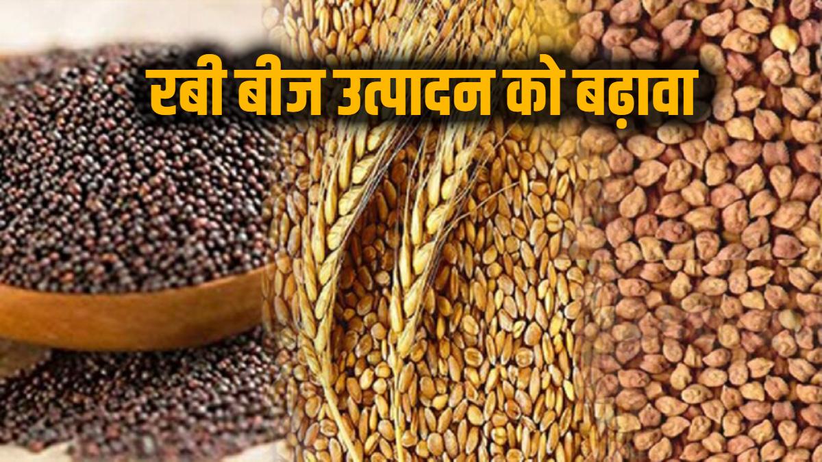 रबी बीज उत्पादन को बढ़ावा : किसानों के पंजीयन की तिथि 31 जनवरी तक बढ़ी