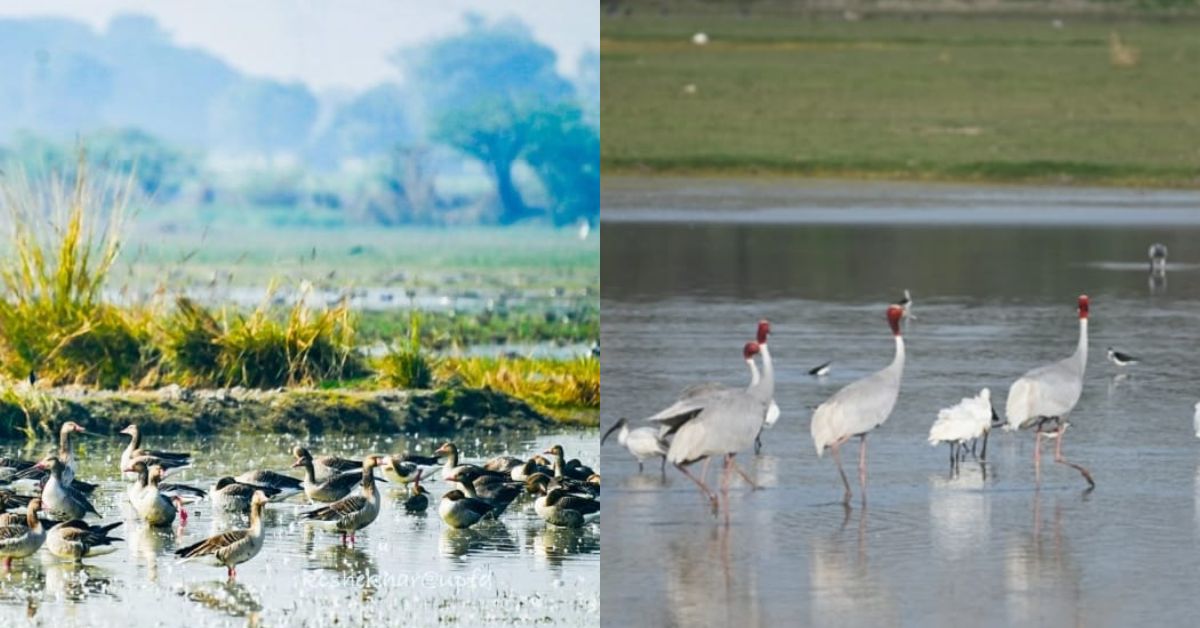 वेटलैंड दिवस से पहले उत्तर प्रदेश को बड़ा उपहार : एटा का ‘पटना पक्षी अभयारण्य’ रामसर साइट्स घोषित, पीएम मोदी-सीएम योगी ने दी बधाई