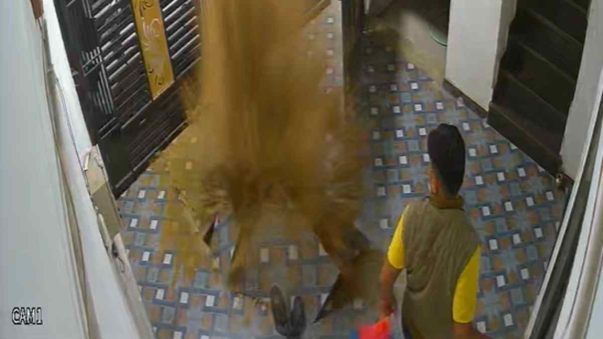 बिलासपुर में बड़ा हादसा टला : हाई प्रेशर से फटी घर की बोरिंग, इलाके में मची अफरा-तफरी, देखें VIDEO