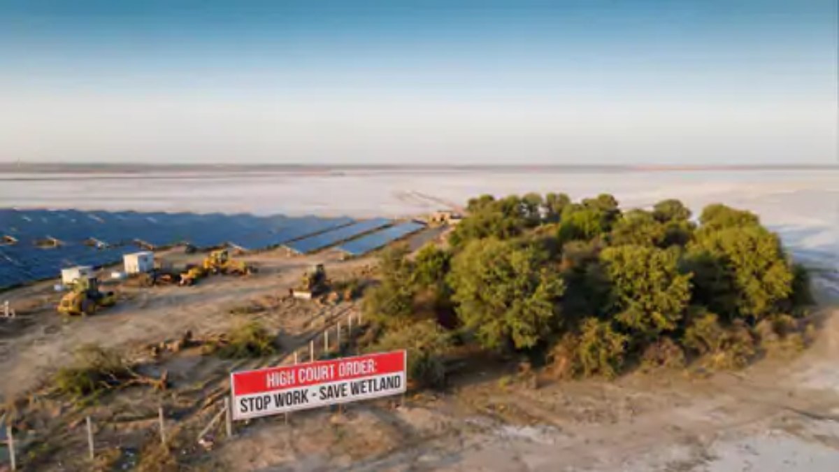 सांभर झील में सोलर प्लांट पर हाईकोर्ट सख्त: MOU छिपाने को माना ‘अदालती अवमानना’, हिंदुस्तान सॉल्ट्स के MD समेत बड़े अफसरों को किया तलब