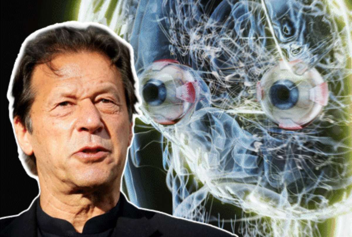 जेल में अंधे हो सकते हैं इमरान खान! PTI का दावा- पूर्व PM को तुरंत इलाज की जरूरत, देर हुई तो रोशनी खो देंगे