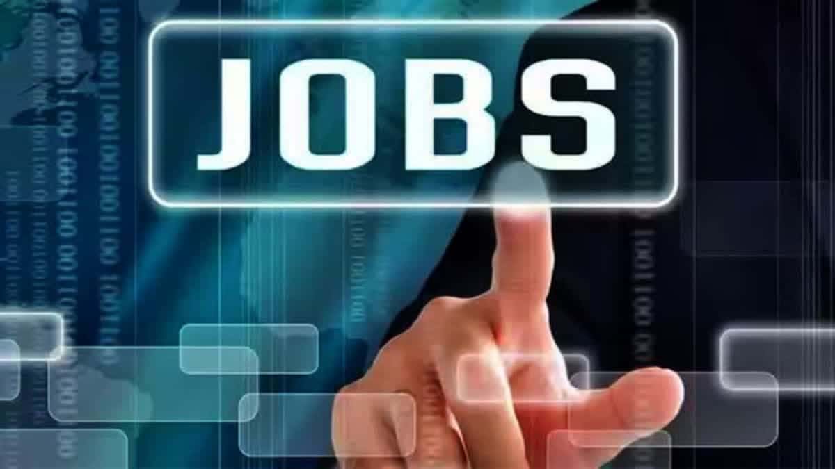 14 फरवरी को गयाजी में जिलास्तरीय रोजगार मेला, 20 कंपनियों में 1000 से ज्यादा पदों पर भर्ती