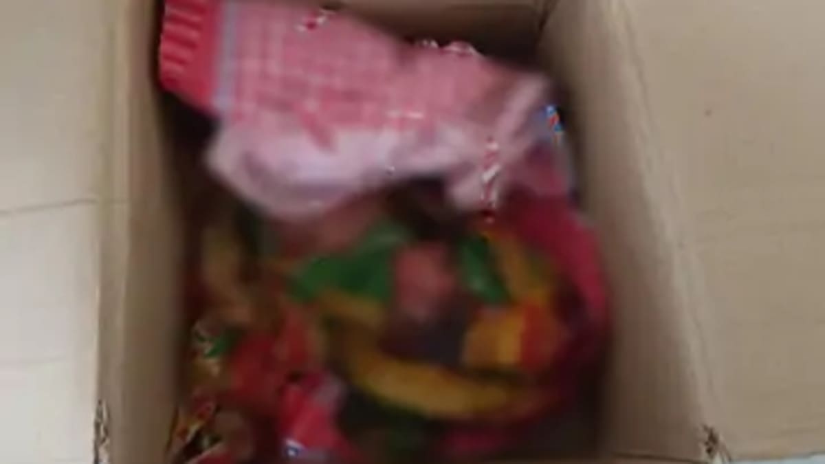 कचरे के ढेर में मिली तीन दिन की नवजात बच्ची, इलाके में सनसनी, जांच में जुटी पुलिस