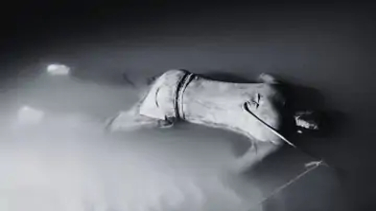 गंगा नदी से अज्ञात युवक का शव बरामद, इलाके में सनसनी, पुलिस की जांच जारी