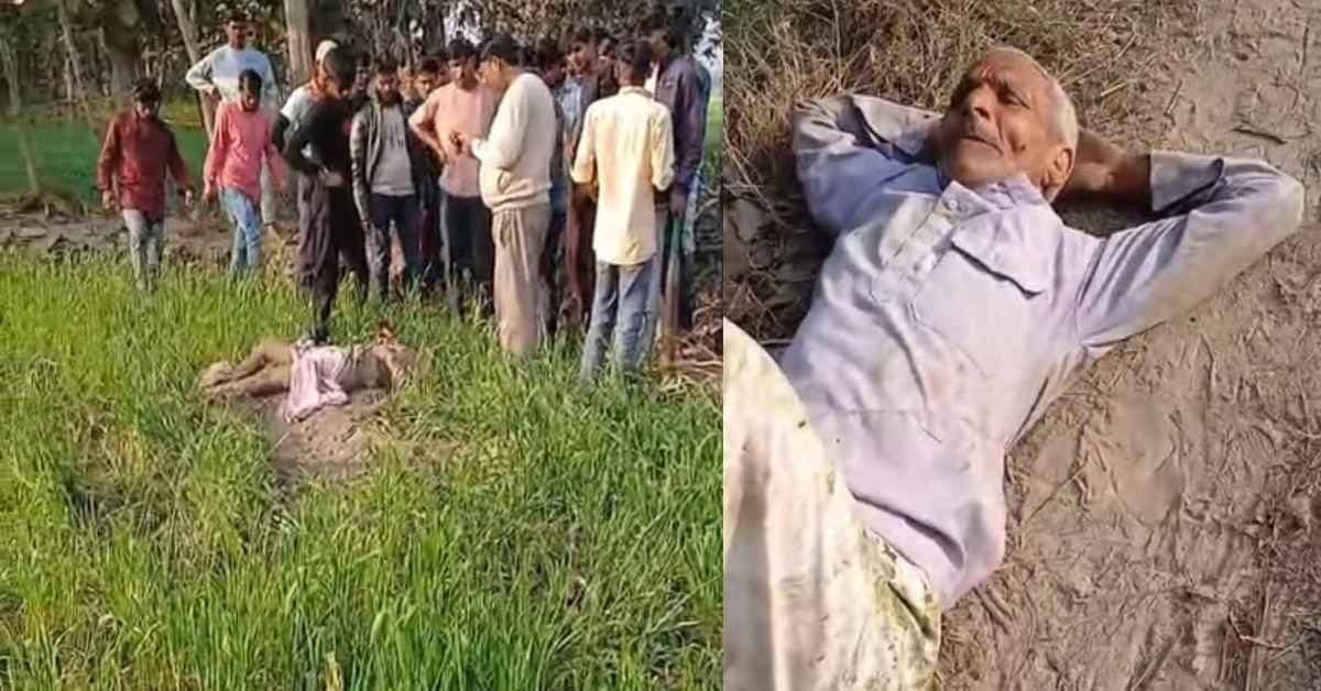 मौत बांट रहा ‘निकम्मा’ सिस्टम! एक सप्ताह के भीतर सांड और बछड़ों के हमले में 2 किसानों की मौत, 1 लड़ रहा जिंदगी की जंग, जिम्मेदार बेसुध?