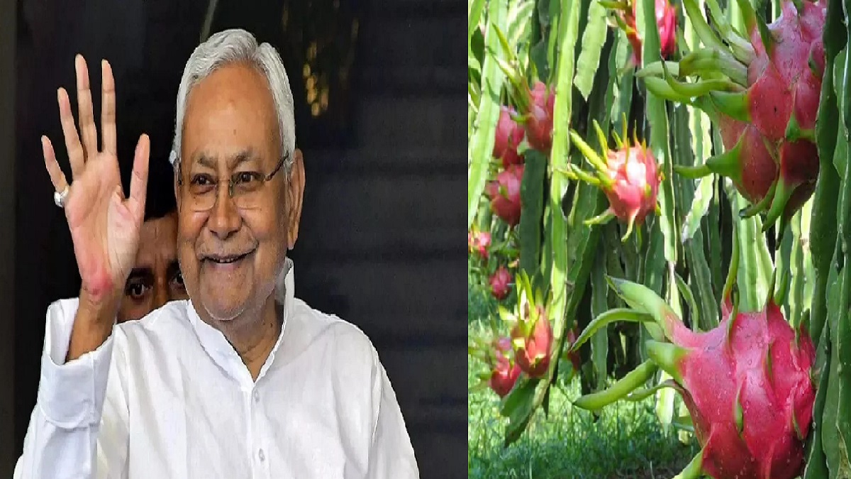 आत्मनिर्भर कृषि’ की ओर बिहार सरकार का बड़ा कदम: स्ट्रॉबेरी-ड्रैगन फ्रूट जैसे विदेशी फलों की खेती पर भारी सब्सिडी देगी सरकार, खेती का बदलेगा स्वरूप