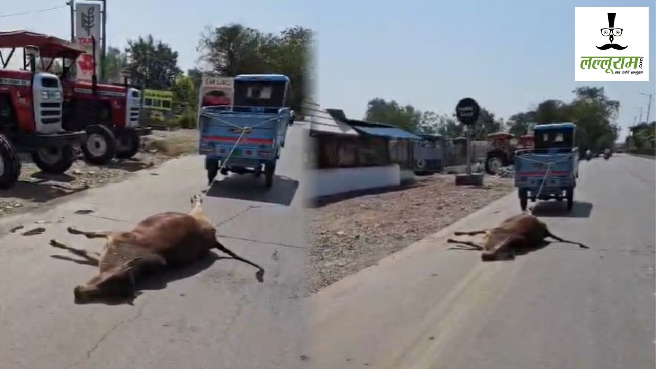 CG VIDEO : NH-130 पर मृत गाय को ऑटो से घसीटने का वीडियो वायरल