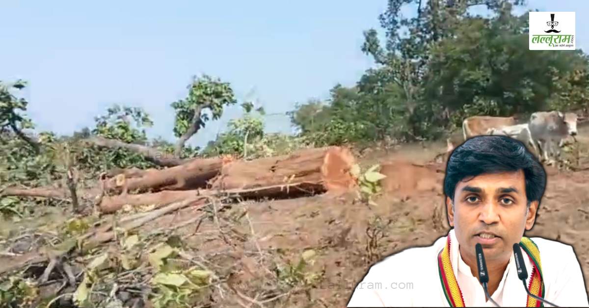 सिंगरौली कोल ब्लॉक-हाथी कॉरिडोर विवाद: कांग्रेस ने बताया जंगल-आदिवासियों की अनदेखी, कॉरपोरेट को दी जा रही प्राथमिकता