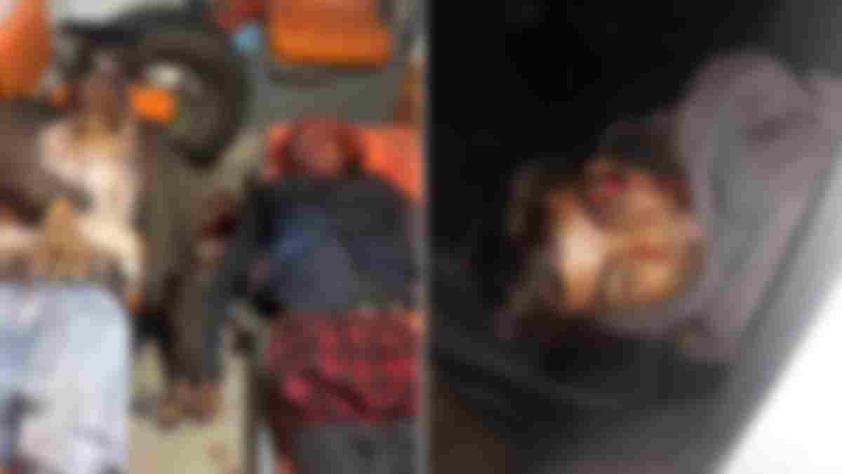 दर्दनाक हादसा: टूटे पुल से बाइक सहित गिरे 3 युवक, मौके पर मौत; शादी में जा रहे थे तीनों