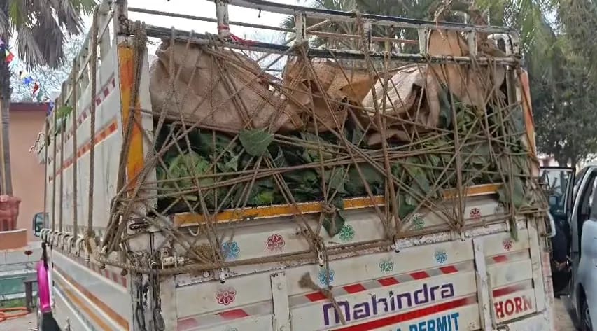 मयूरभंज में नारकोटिक्स कंट्रोल ब्यूरो की बड़ी कार्रवाई, 1 करोड़ रुपये कीमती गांजा ज़ब्त