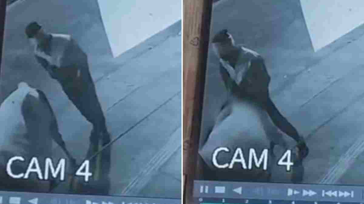 जबलपुर में सड़क पर गाय के साथ अश्लील हरकत: CCTV में कैद हुई घटना, आरोपी गिरफ्तार   