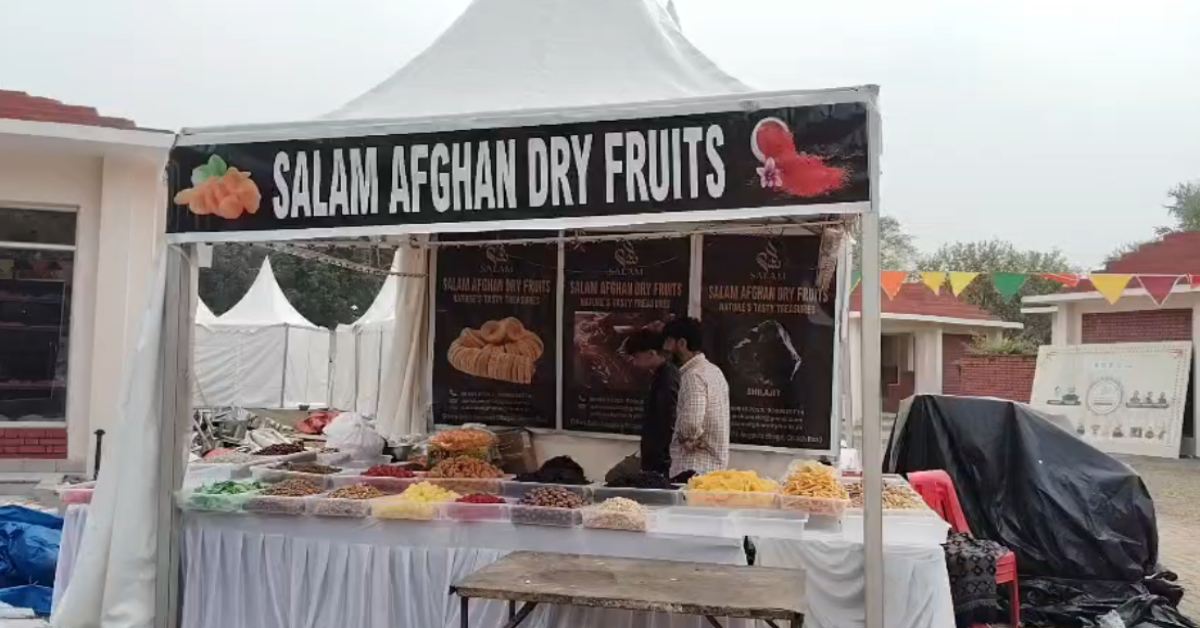 Khajuraho International Carnival Festival: अफगानिस्तान से आए मटिया ड्राई फ्रूट्स आकर्षण का केंद्र, चिलगोजा, चीड़ के मेवे समेत कई वैरायटी