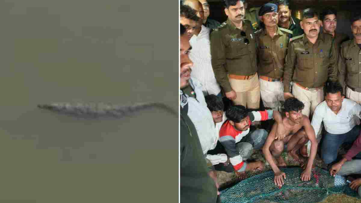 पर्यटकों में फैला था डर, अब खत्म! खजुराहो के शिवसागर तालाब से मगरमच्छ को वन विभाग ने कुशलता से निकाला