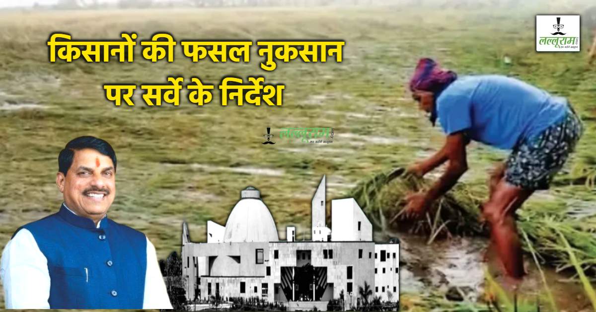 MP में बे-मौसम बारिश से किसानों की फसलें बर्बाद: विधानसभा में उठा मामला, सरकार ने सर्वे कराने के दिए निर्देश