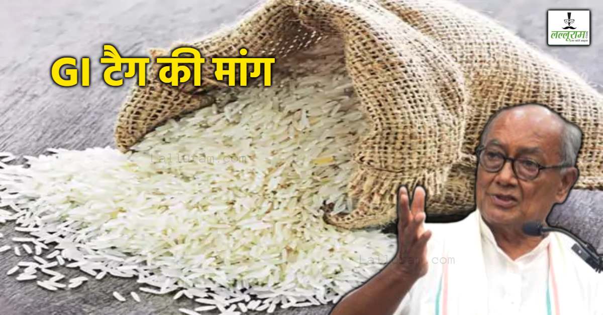 राज्यसभा में उठा मध्य प्रदेश के बासमती चावल का मुद्दा: दिग्विजय ने की GI टैग देने की मांग, कहा- पंजाब और अन्य राज्यों के व्यापारियों पर लगाए ये आरोप