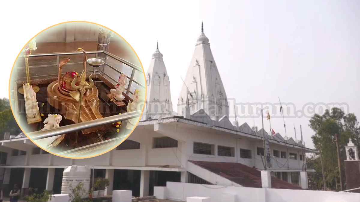 EXCLUSIVE: MP में यहां लगती है महादेव की अदालत, जज बनकर बड़े से बड़ा विवाद सुलझा देते हैं मजिस्ट्रेट महादेव, जानिए इस मंदिर की मान्यता