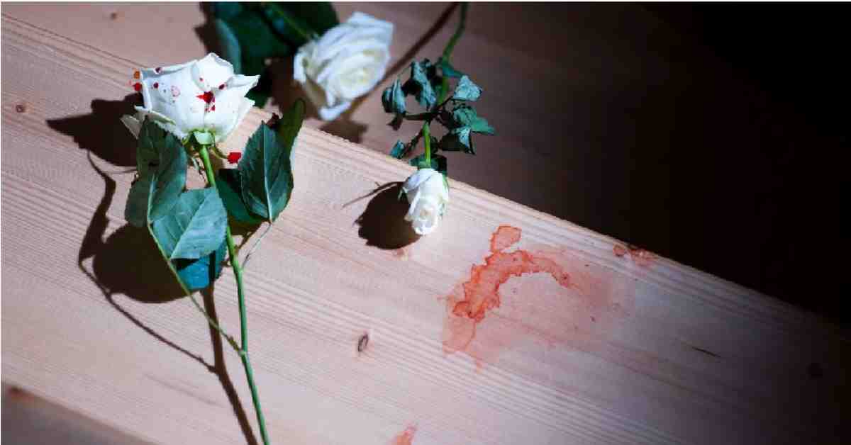 लव स्टोरी का खौफनाक अंत: वेलेंटाइन डे पर प्रेमी ने प्रेमिका को उतारा मौत के घाट, फिर…