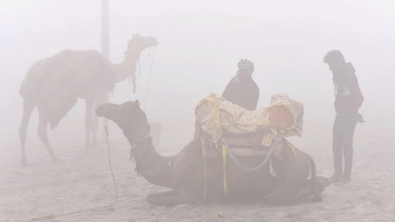 Rajasthan Weather Update: राजस्थान सीमा पर चक्रवात का असर, कोटा-उदयपुर में बारिश की संभावना; तीन दिन आंधी-ओलावृष्टि का अलर्ट
