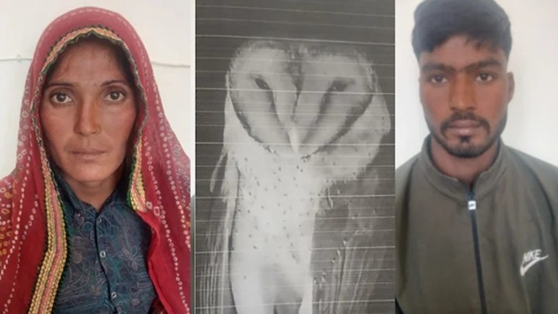 Rajasthan News: दुर्लभ उल्लू दिखाकर किसान को लगाया 6 लाख का चूना, फेसबुक पोस्ट से शुरू हुआ ठगी का ये फिल्मी खेल